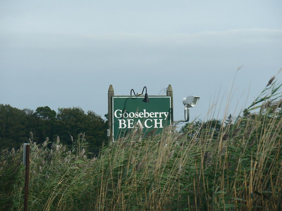 A sign reading "Gooseberry Beach" is partially obscured by tall grasses, with trees and a cloudy sky in the background.