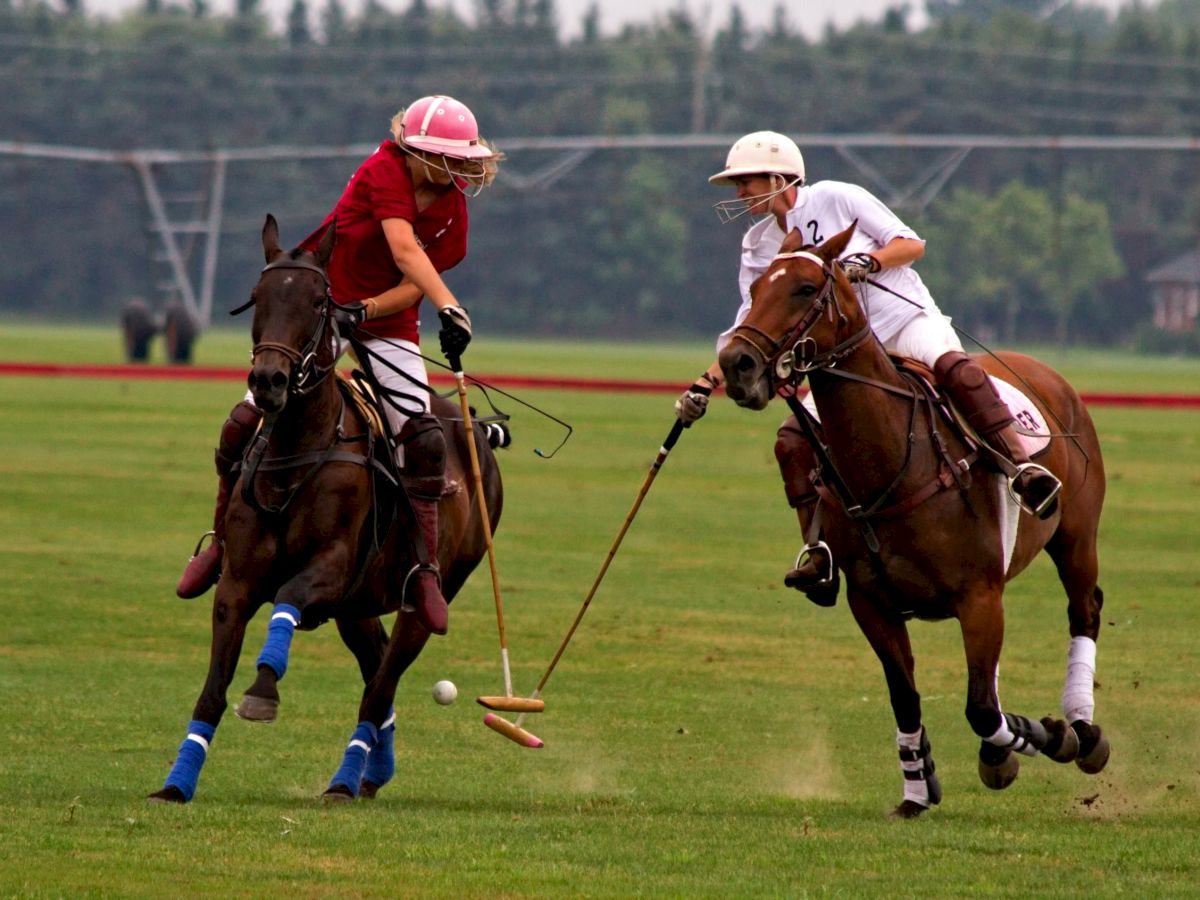 Two polo players in helmets ride horses on a grass field, swinging mallets at a ball during a match, with spectators in the background.