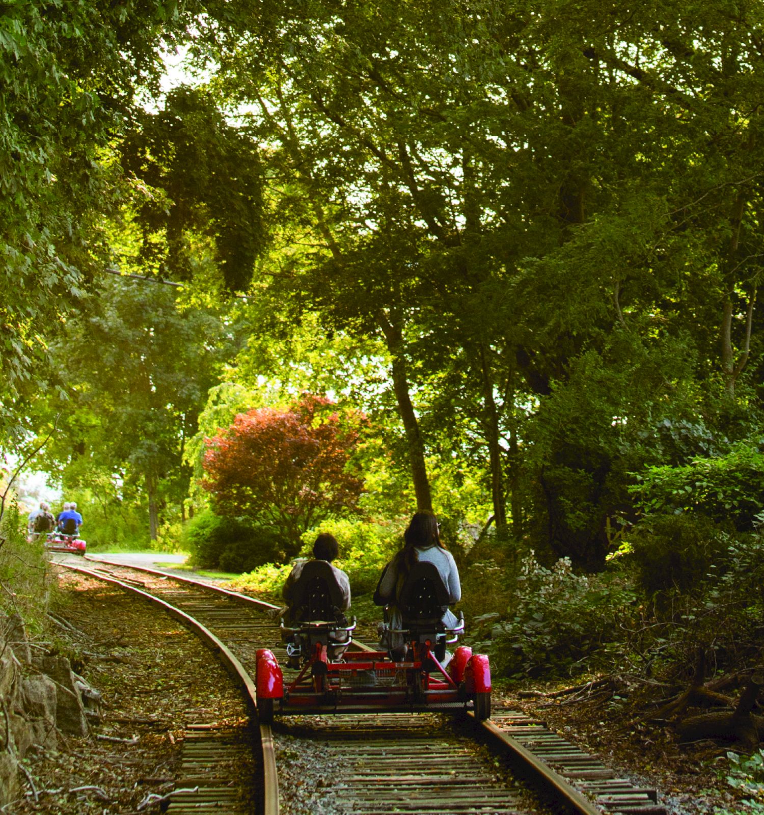 Two people ride a small rail bike on tracks through a lush, wooded area. There's another rail bike further ahead on the same path.